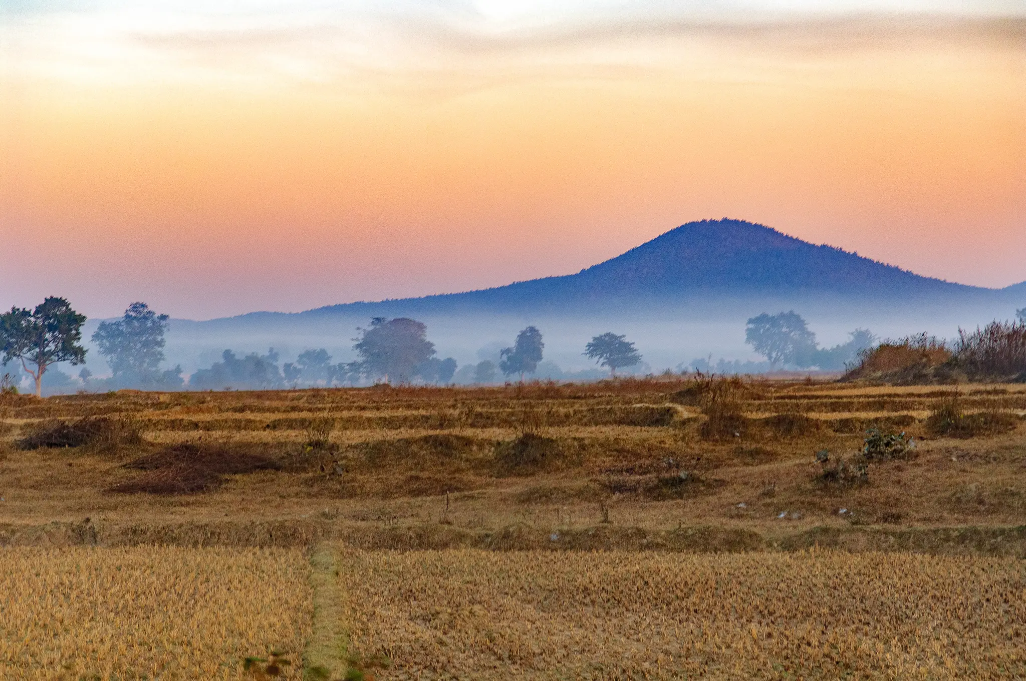 Paysage au petit matin vu depuis un train, avec champs, arbres dans la brume et collines à l’horizon