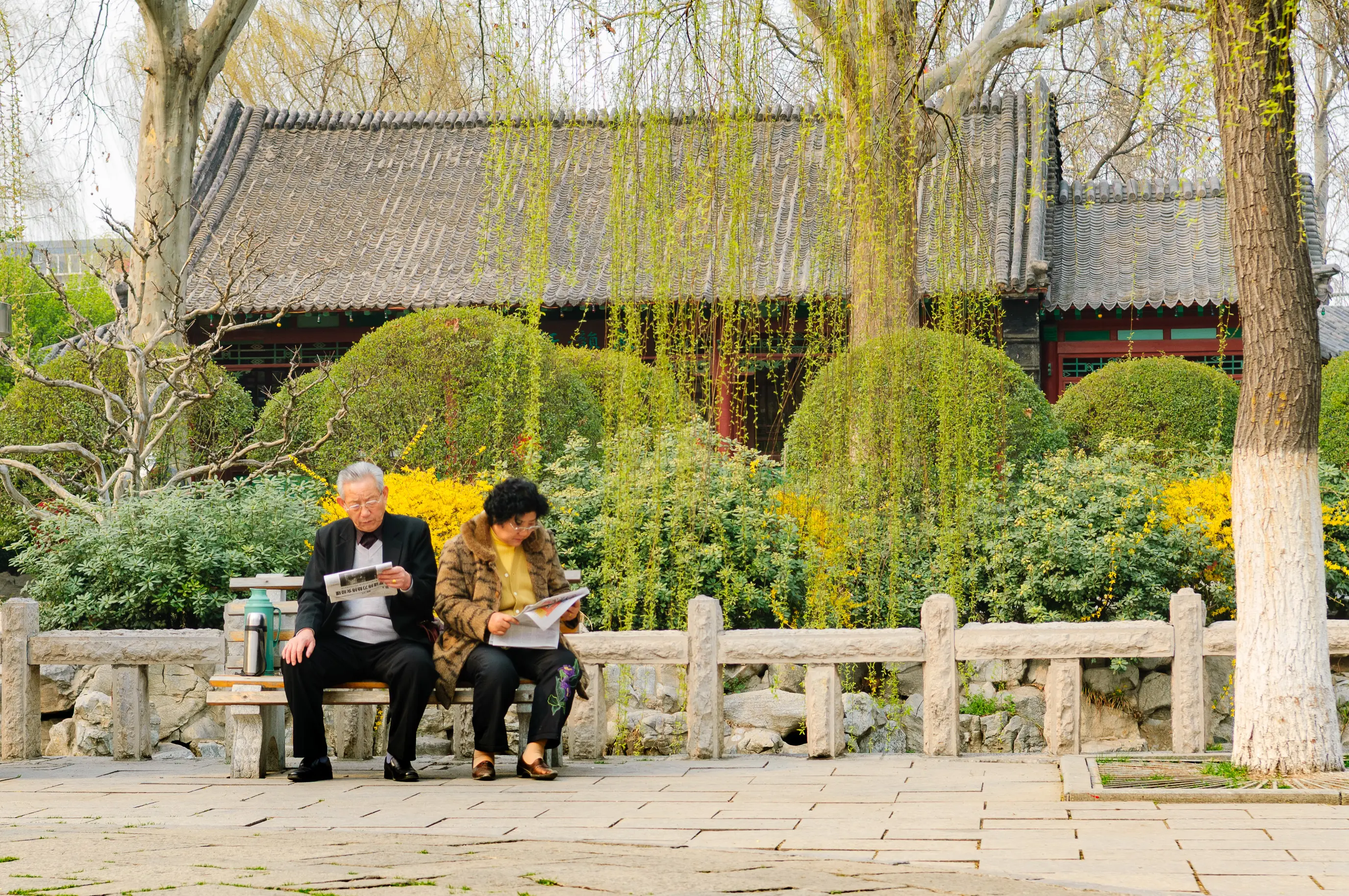 Dans un jardin de Jinan, un couple assis sur un banc lit chacun son journal