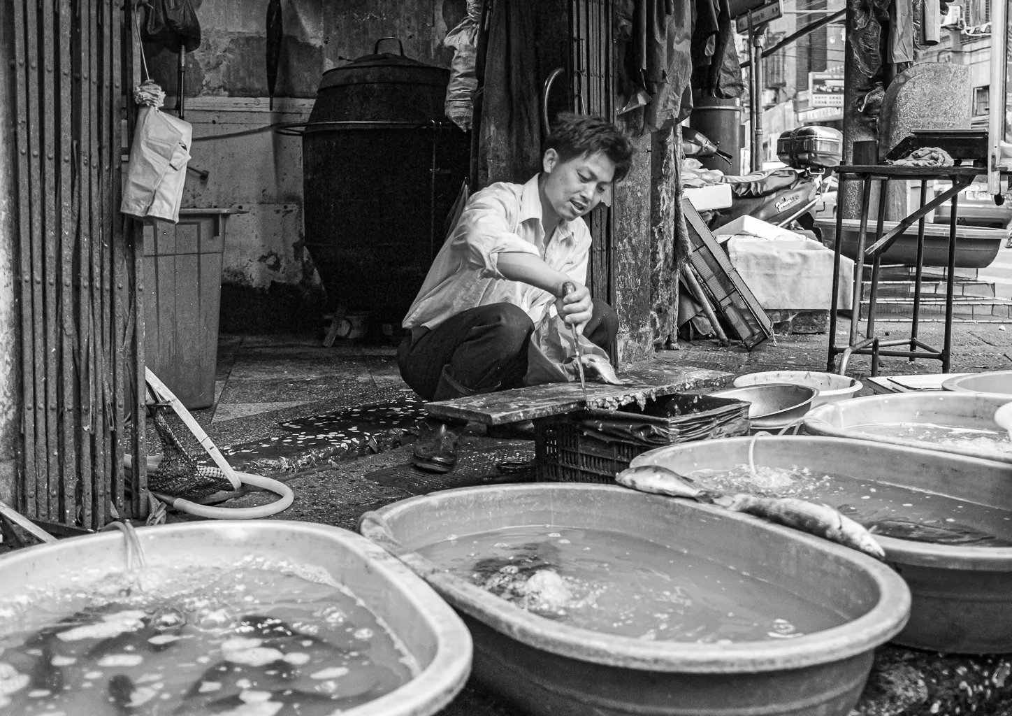 Un poissonier à Shanghaï