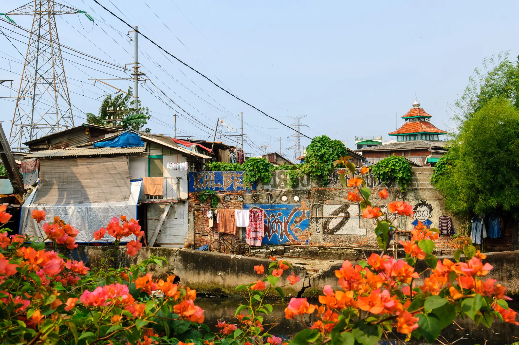 Habitations à Jakarta derrière des fleurs rouges