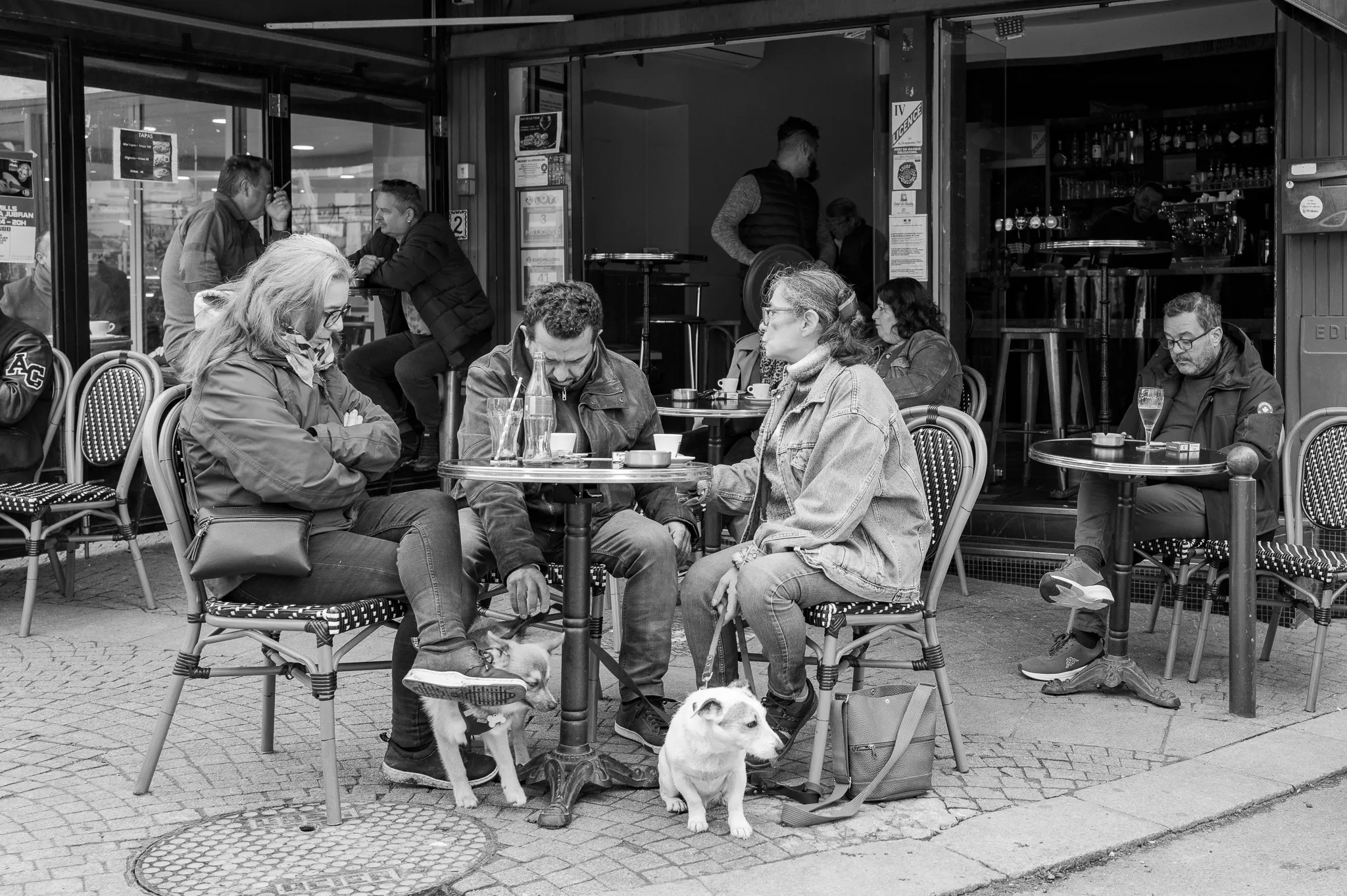 Deux personnes accompagnées de leurs chiens sont installées à la terrasse d'un café, observées depuis l'autre côté de la rue.