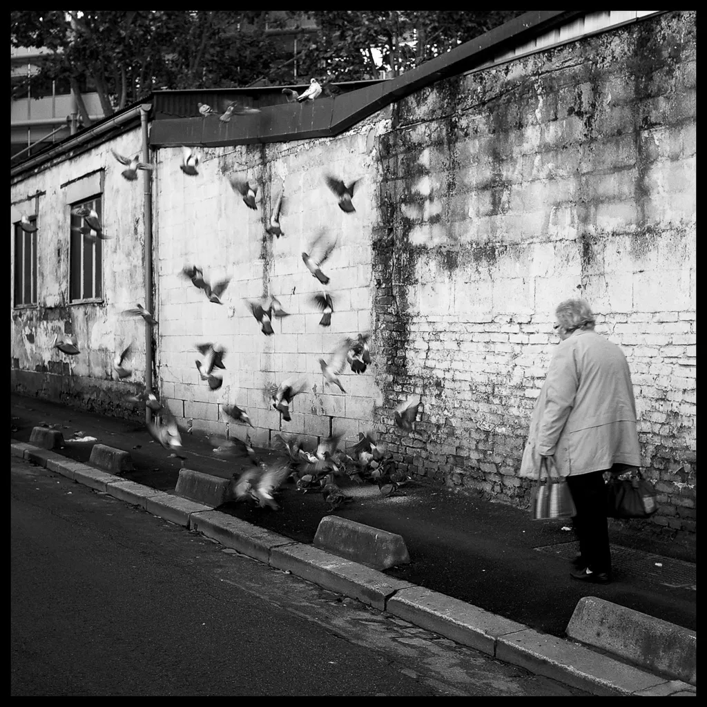À Aubervilliers, une vieille dame portant ses courses marche devant un mur tandis que des pigeons prennent leur envol.