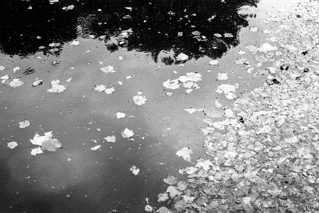 Canal Saint Martin