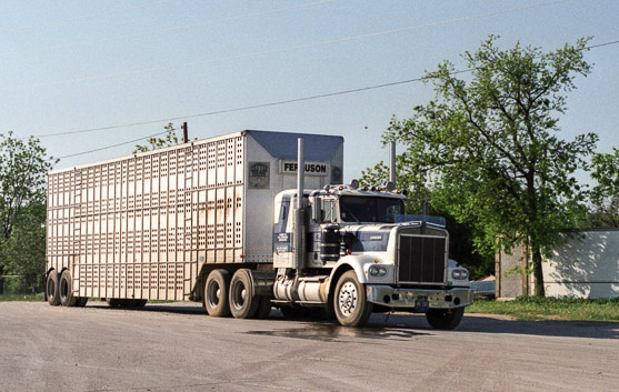 Un camion américain sur la route - Nikon F801