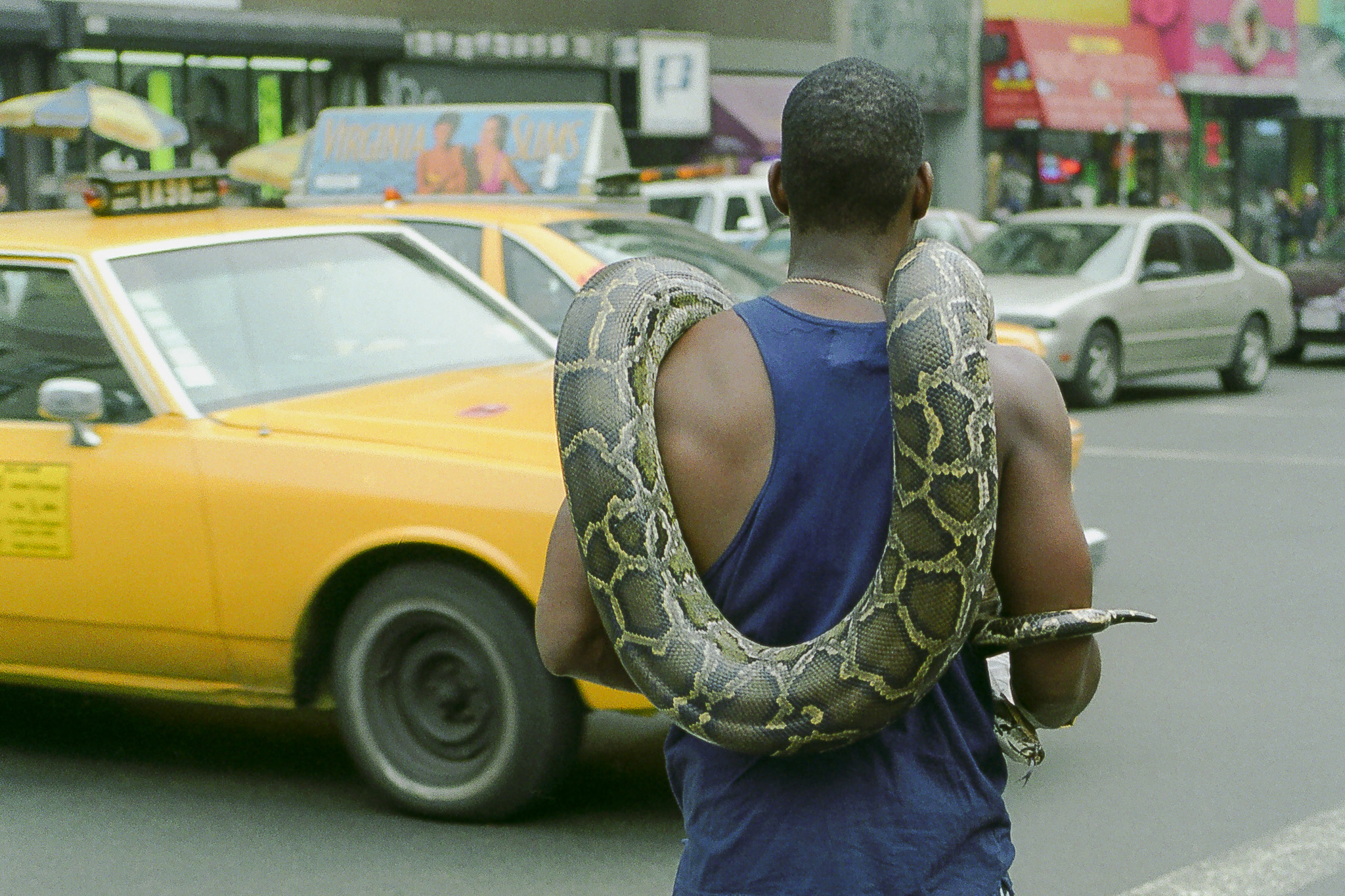 Homme traversant une rue de New York en 1995 avec un grand serpent autour des épaules, taxis jaunes en arrière-plan.