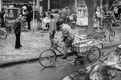 Un vélo-cargo aménagé avec des bacs transporte des poissons vivants.