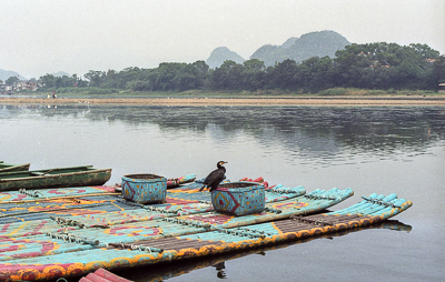 Radeaux de bambou décorés, avec deux cormorans posés au bord de l’eau à Guilin.