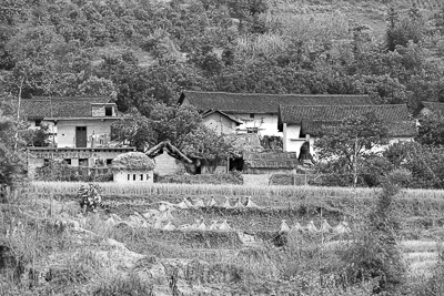Maisons rurales et cultures étagées sur la rive de la rivière Li.