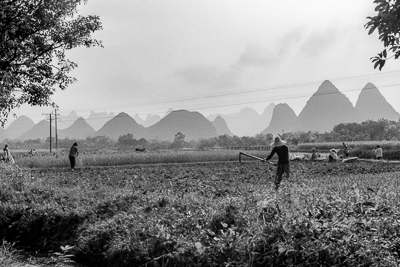 Des ouvriers agricoles travaillent dans un champ au pied des montagnes karstiques.