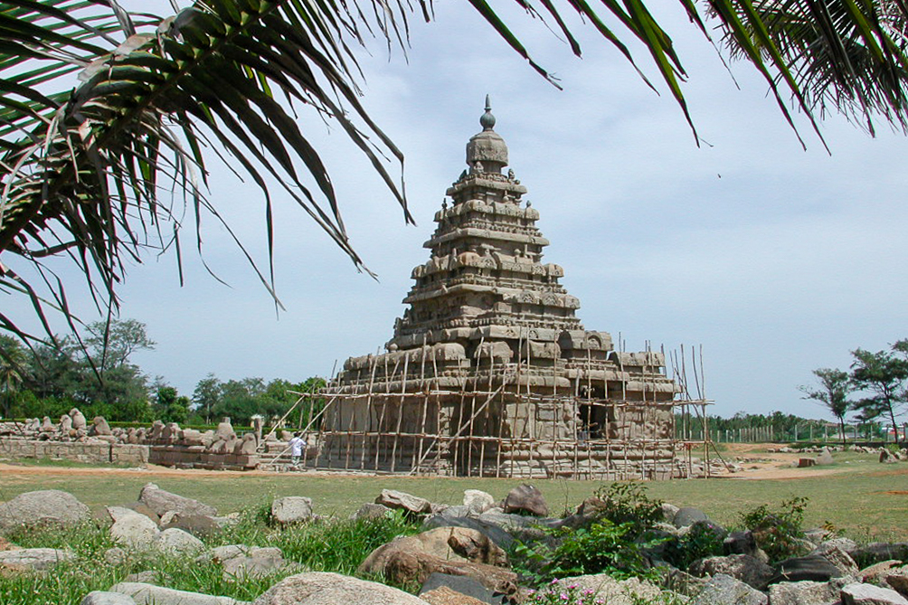 Le temple du Rivage encadré par les palmes et les échafaudages.