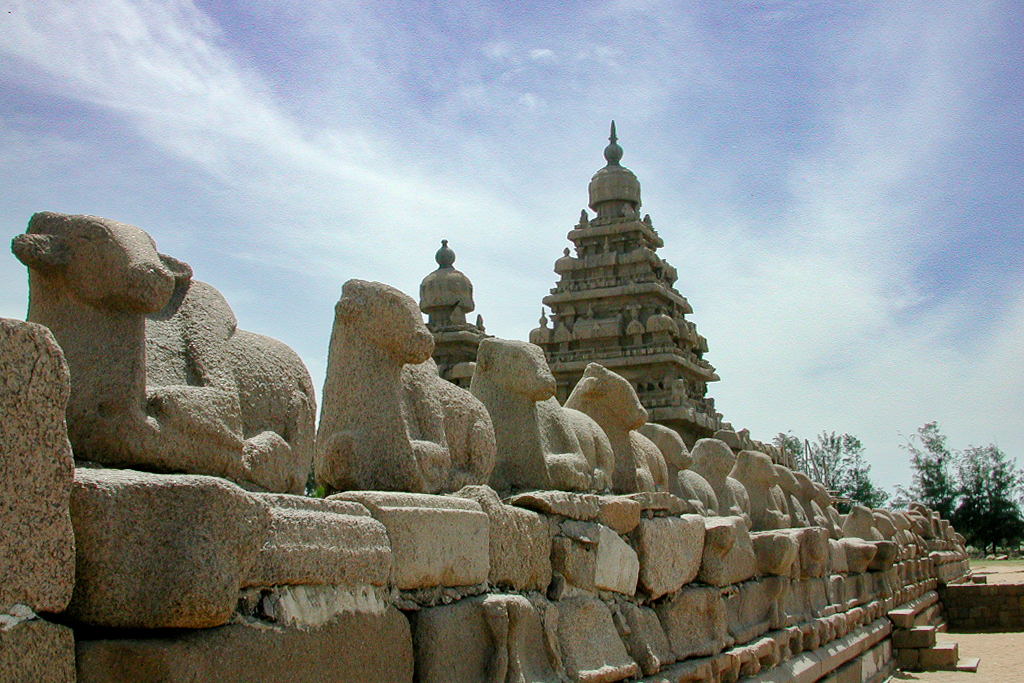 Une rangée de taureaux Nandi devant le temple du Rivage.