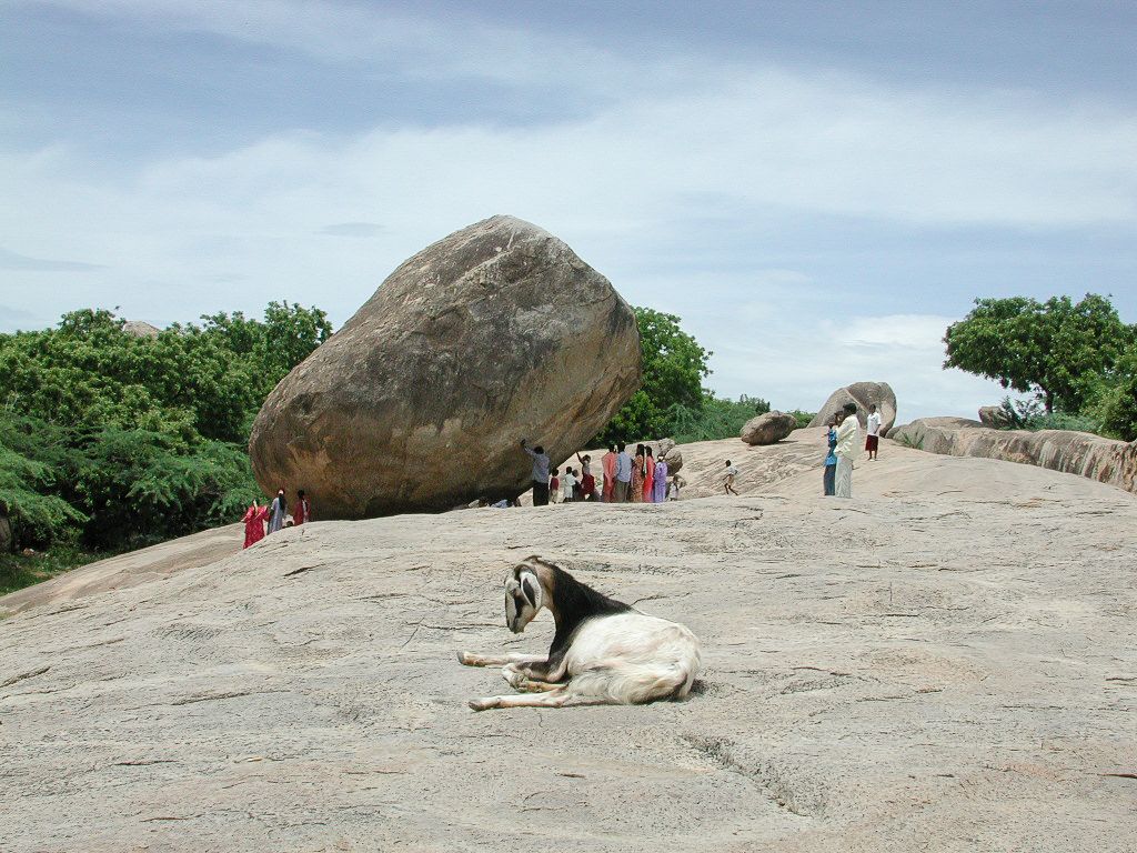 La Boule de beurre de Krishna domine les visiteurs et une chèvre au repos.