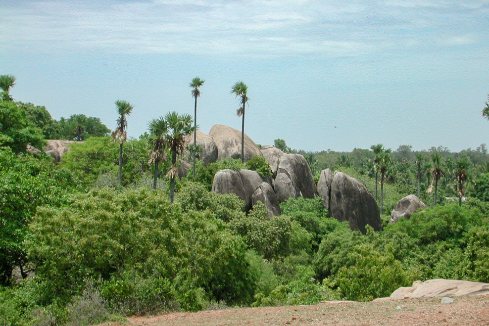 Le paysage de rochers, d'arbres et de palmiers vu depuis les hauteurs.