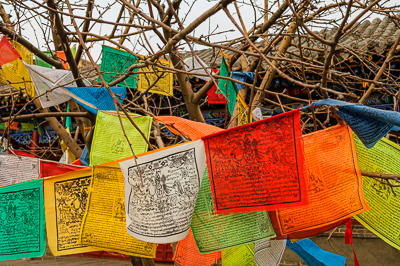 Hohhot Mongolie Intérieure