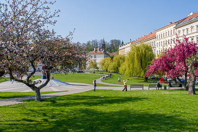 Jardin en fleurs au printemps à Prague