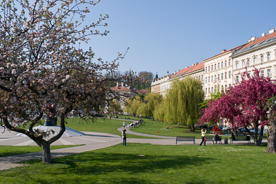 Pelouse et arbres en fleurs dans un jardin de Prague