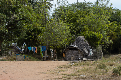 Une petite habitation se dissimule sous les arbres, avec du linge étendu devant la porte.