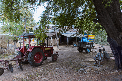 Tracteur, remorque et charrette attendent sous un grand arbre au bord de la route.