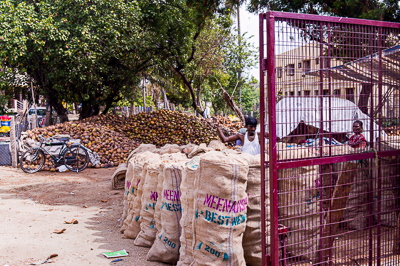 Sacs de marchandises, motos et grande cage métallique s'entassent sous les arbres.