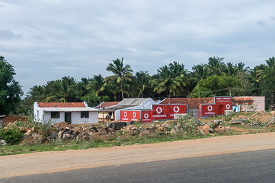 Des maisons basses et un mur peint aux couleurs de Vodafone bordent une cocoteraie.