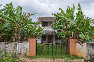 Une maison se cache derrière les bananiers au bord des champs.