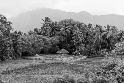 Les montagnes disparaissent dans les nuages derrière les cocotiers et les champs.