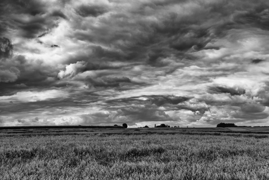 paysage yvelines