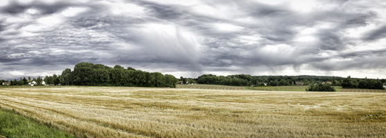 paysage yvelines