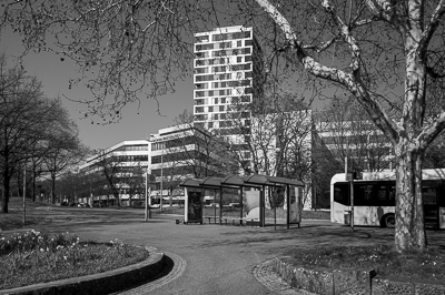 Arrêt de bus, Stuttgart.
Une scène banale, presque vide. L’architecture fonctionnelle occupe l’arrière-plan, les arbres dessinent un cadre graphique. Le noir et blanc fige ce moment d’attente dans une atmosphère légèrement irréelle.