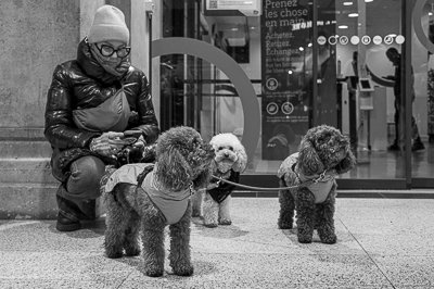Ma minute Eliott Erwitt
