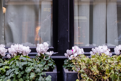 Rideaux associés aux fleurs